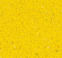 Кварцвиниловые полы Forbo  Colorex Signal SD 150231 sole фото 1 | FLOORDEALER